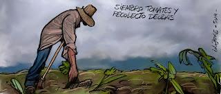 De la sumisión voluntaria