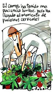 De la lengua del imperio