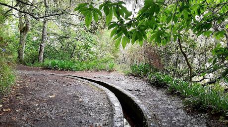MADEIRA : UNA EXCURSIÓN POR EL ESTE DE LA ISLA