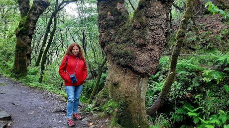 MADEIRA : UNA EXCURSIÓN POR EL ESTE DE LA ISLA