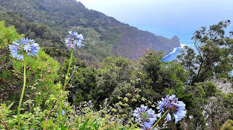 MADEIRA : UNA EXCURSIÓN POR EL ESTE DE LA ISLA