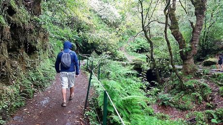MADEIRA : UNA EXCURSIÓN POR EL ESTE DE LA ISLA