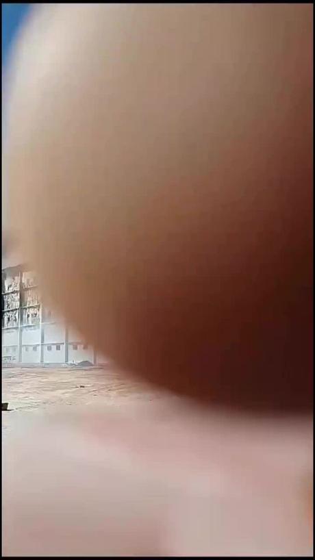 (video) Incendio consume granjas avícolas en el municipio de Vanegas