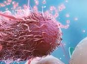 microbiota