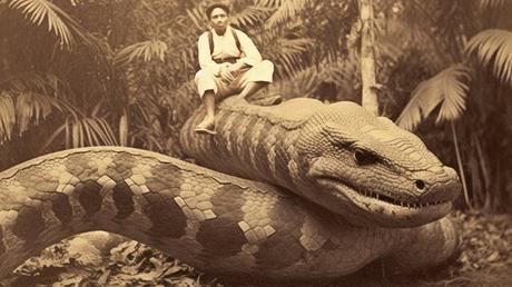 Titanoboa: la serpiente de una tonelada