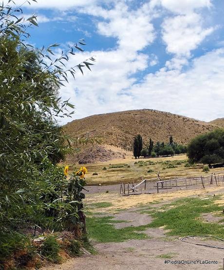 Defensa Civil Municipal trabaja en terreno