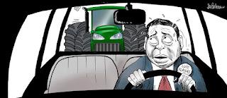 De escritores y perros