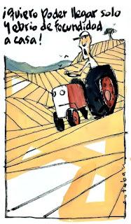 De escritores y perros