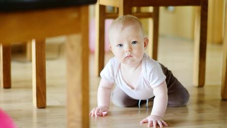 Desarrollo y cuidado de bebés de 12 meses: todo lo que necesitas saber Desarrollo y cuidado de bebés de 12 meses: todo lo que necesitas saber