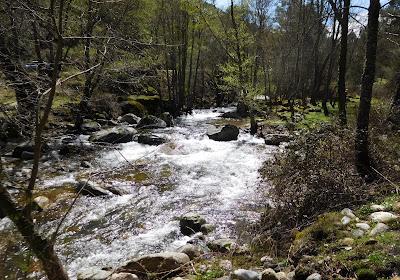 Valle d Iruelas. Agua 4