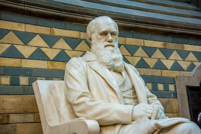 #DíaDeDarwin El creacionista honesto: el caso de Darwin