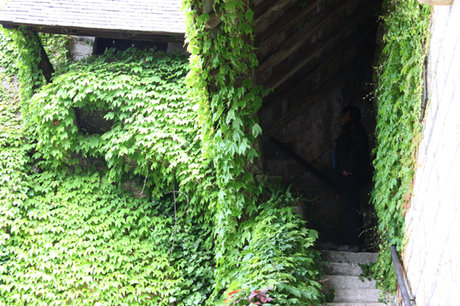 Edén en Lacommande, Francia