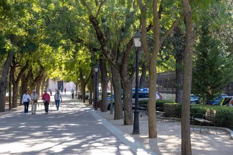 Guadalajara actualiza el canon por la prestación del servicio público de estacionamiento limitado