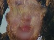 Jorge Drexler estrena Derrumbe