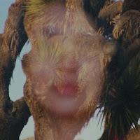 Jorge Drexler estrena Derrumbe como nuevo single