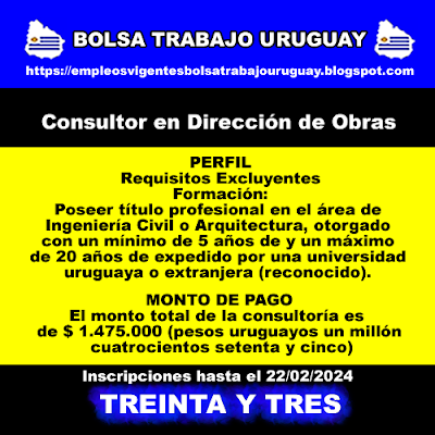 Consultor en Dirección de Obras