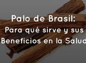 Palo Brasil: para sirve beneficios salud