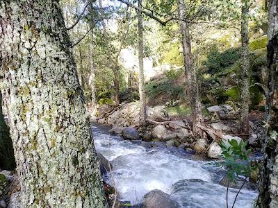 Valle d Iruelas. 5. Agua
