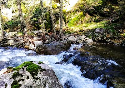 Valle d Iruelas. 5. Agua