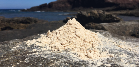 Me han plagiado (por fortuna)