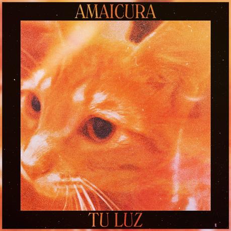 4e904c8c-d43f-891b-2231-5ce6b4967ddb