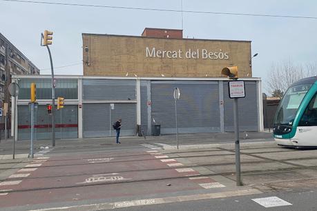 Garcillas bueyeras de ciudad