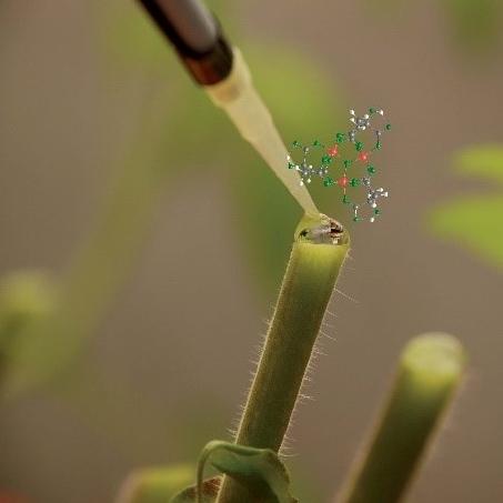 Candidatura española finalista al Premio Internacional en Bioanálisis 2013 Candidatura española finalista al Premio Internacional en Bioanálisis 2013