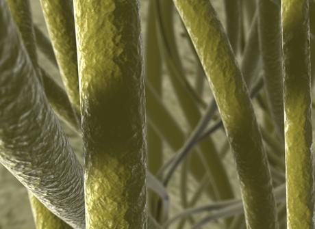 Candidatura española finalista al Premio Internacional en Bioanálisis 2013 Candidatura española finalista al Premio Internacional en Bioanálisis 2013