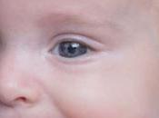 Descubre todo sobre color ojos bebé factores cambios