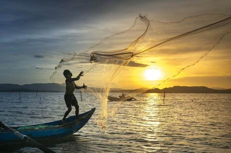 Guía de Pesca Deportiva en Senegal 2024