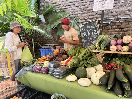 Verde Urbano: Providencia estrena espacio sustentable junto a Mercado Huertero IMG_0816