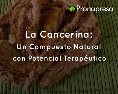 La Cancerina: Un Compuesto Natural con Potencial Terapéutico