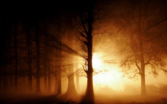 28 fotografías impresionantes de niebla