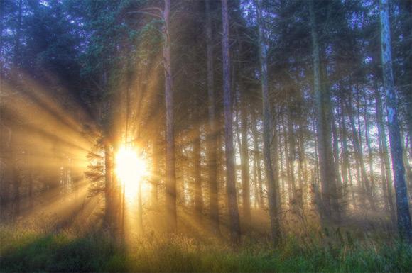 28 fotografías impresionantes de niebla