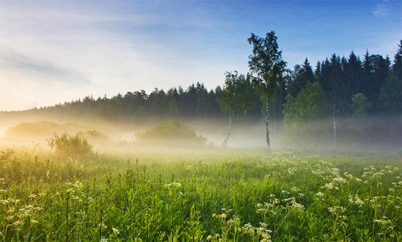 28 fotografías impresionantes de niebla