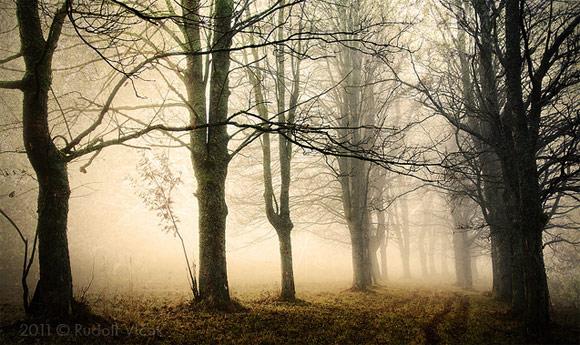 28 fotografías impresionantes de niebla