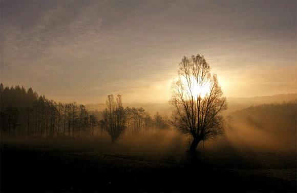 28 fotografías impresionantes de niebla