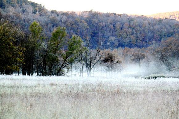 28 fotografías impresionantes de niebla