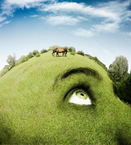 15 Obras increíbles inspiradas en la naturaleza