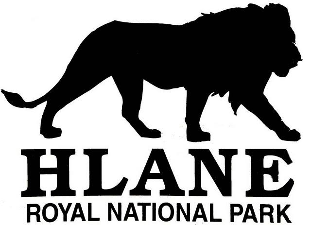 Hlane, leones entre monocultivos