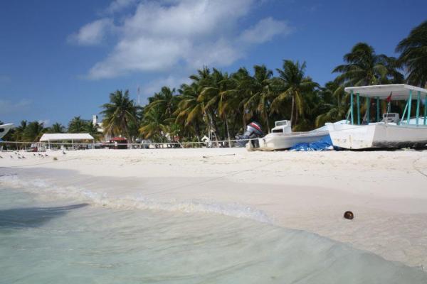 ¡Viva Mexico, cabrones!