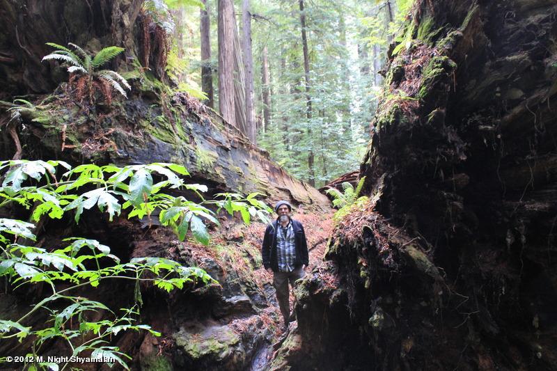 Imágenes de la pre-producción de After Earth