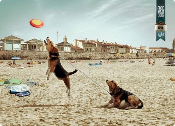 publicidades creativas