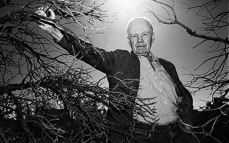 Cormac McCarthy ha escrito su primer guión