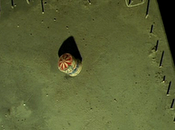 Reto supersticiones.