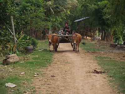 Mekong, un río de vida - Kratie (Camboya)