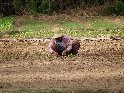 Mekong, un río de vida - Kratie (Camboya)
