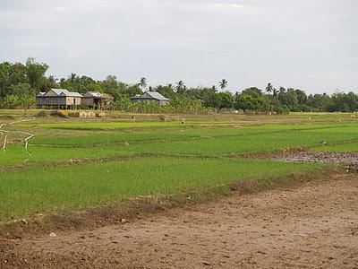 Mekong, un río de vida - Kratie (Camboya)
