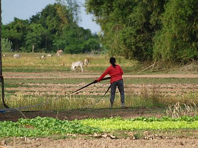 Mekong, un río de vida - Kratie (Camboya)