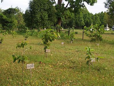 Mekong, un río de vida - Kratie (Camboya)